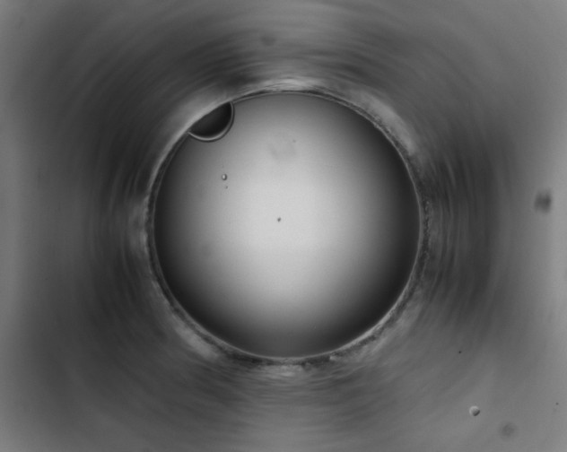 X0000103411186200809121258