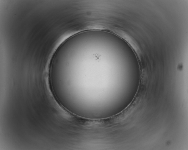 X0000103411187200809121258