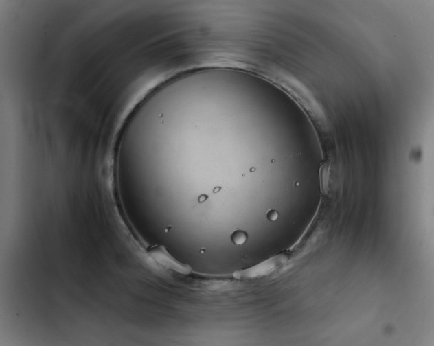 X0000103411188200809121258