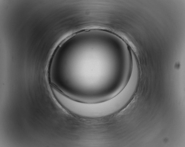 X0000103411189200809121258