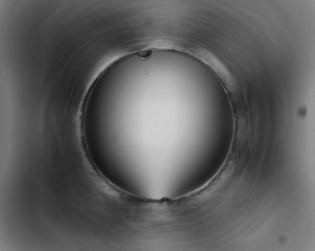 X0000103411190200809121258