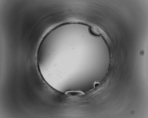 X0000103411191200809121258