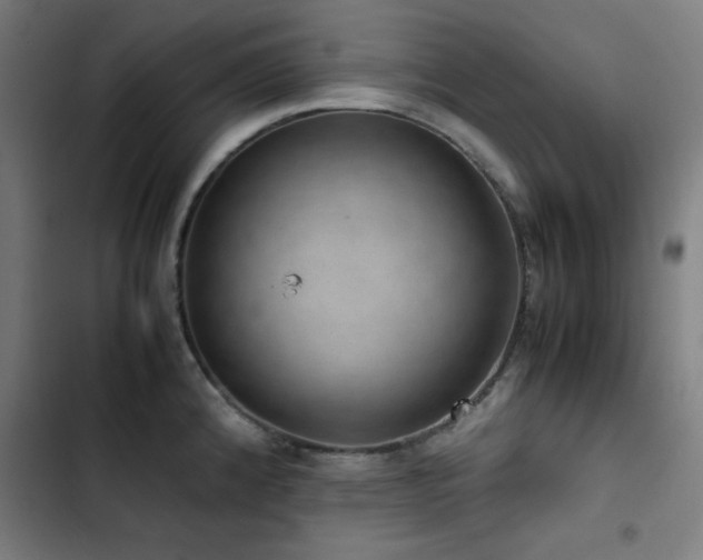 X0000103411192200809121258