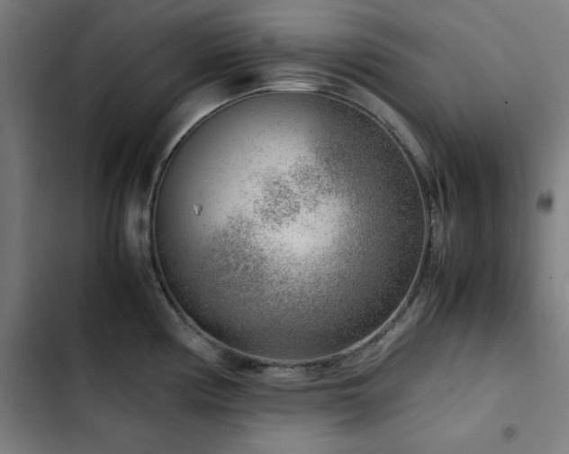 X0000103411194200809121258