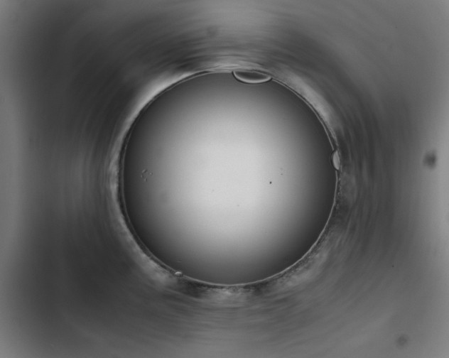 X0000103411195200809121258