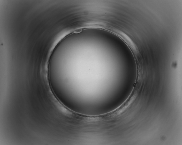 X0000103411196200809121258