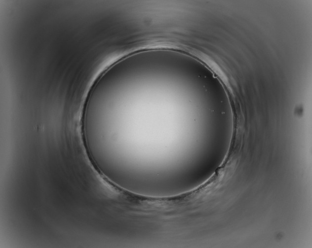 X0000103411197200809121258