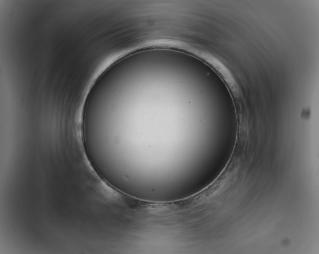 X0000103411199200809121258