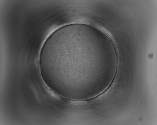 X0000103411200200809121258