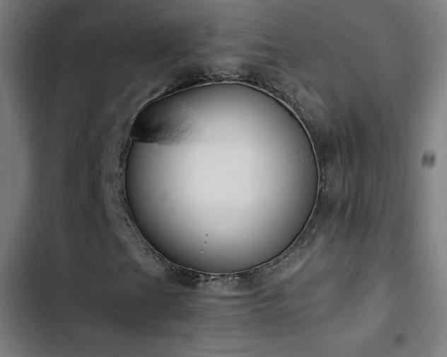 X0000103411201200809121258