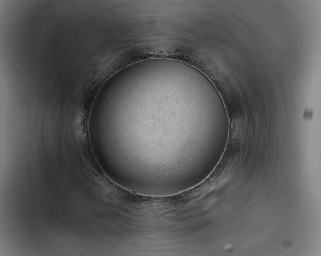 X0000103411202200809121258