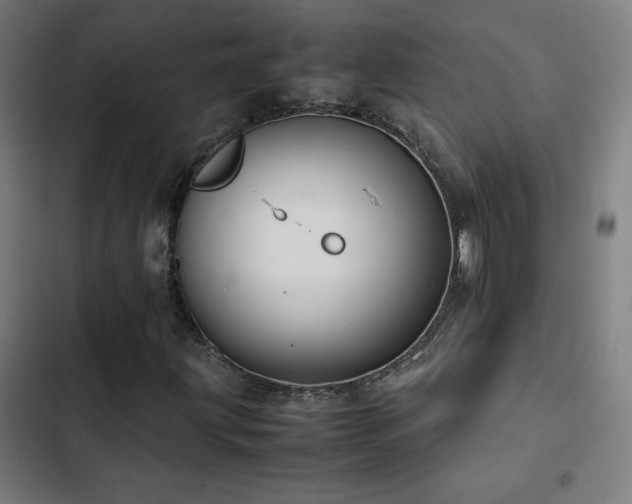 X0000103411203200809121258