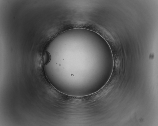 X0000103411204200809121258