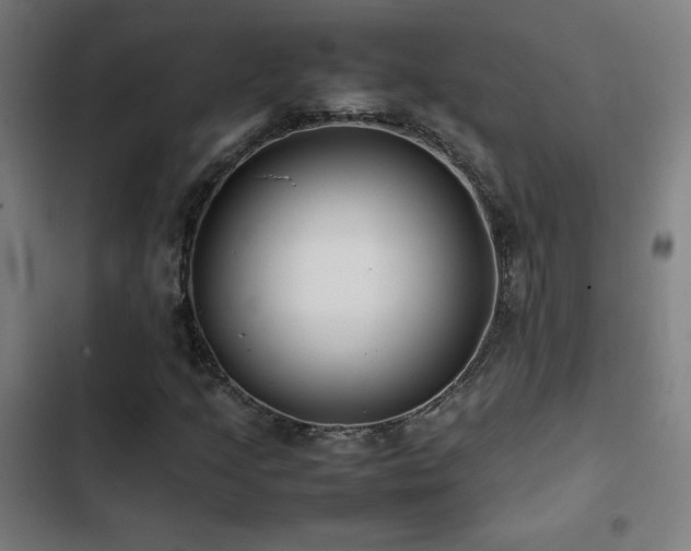 X0000103411205200809121258