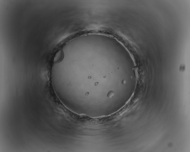 X0000103411206200809121258
