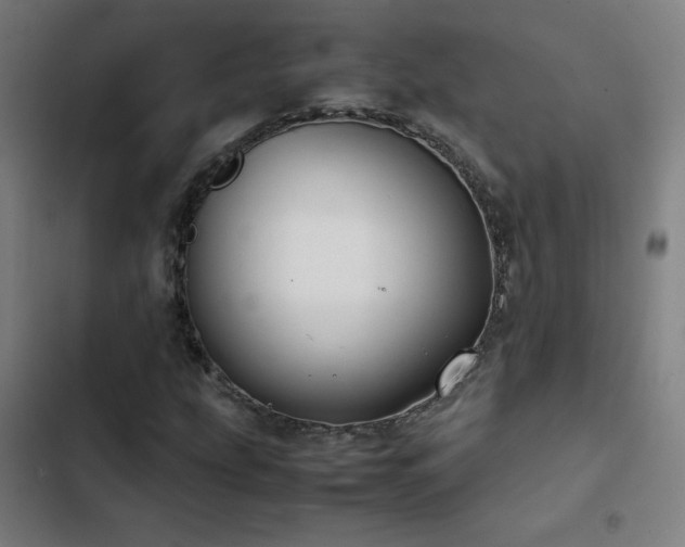 X0000103411207200809121258