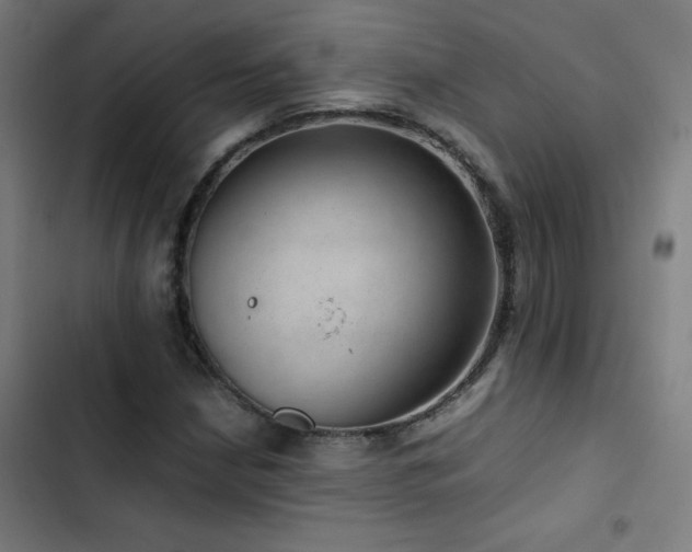 X0000103411210200809121258