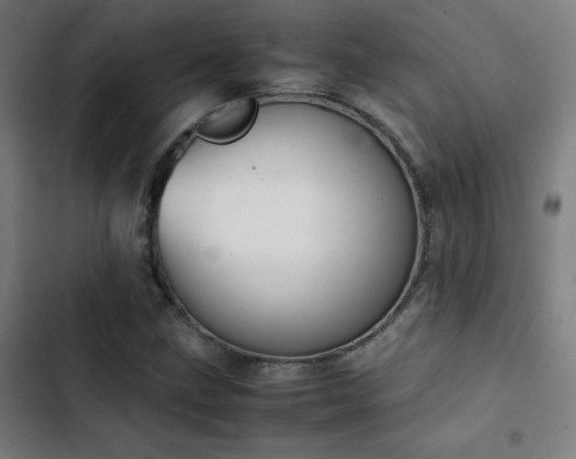 X0000103411211200809121258