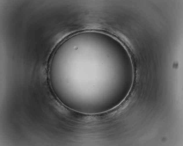 X0000103411212200809121258