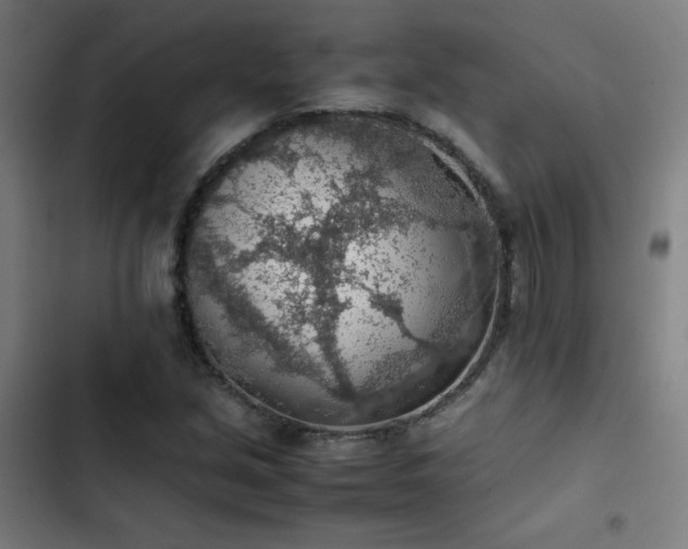X0000103411213200809121258