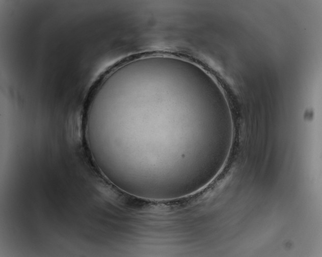 X0000103411214200809121258