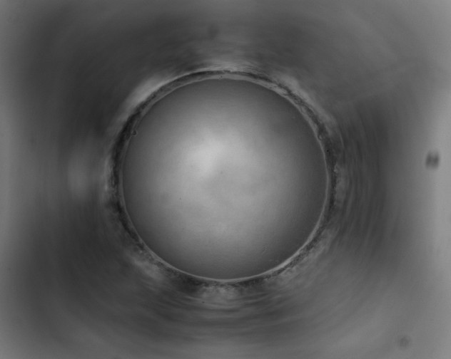 X0000103411215200809121258