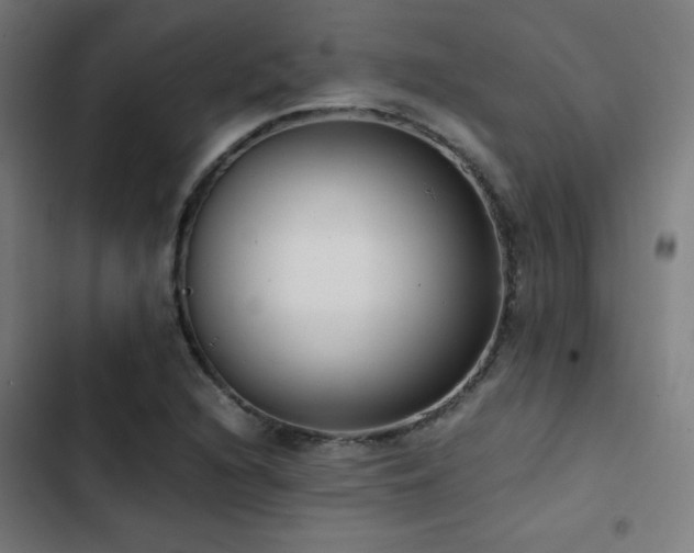 X0000103411216200809121258