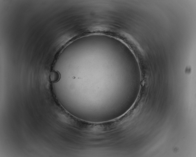 X0000103411217200809121258