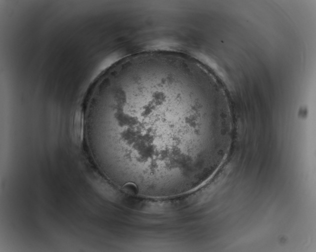 X0000103411219200809121258