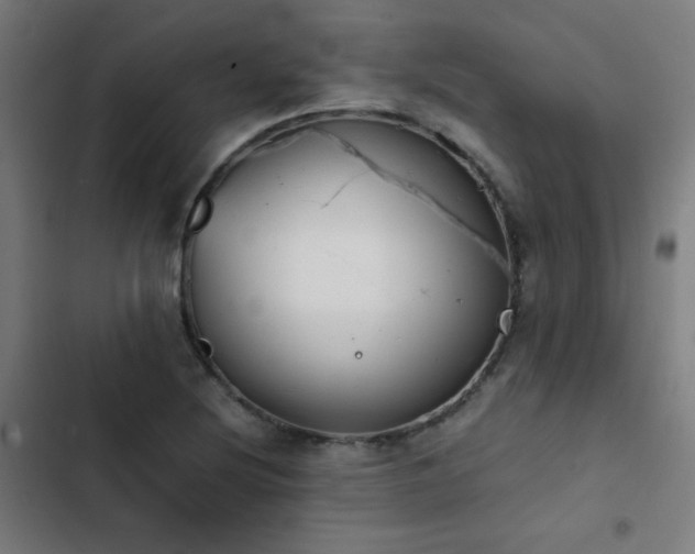 X0000103411220200809121258