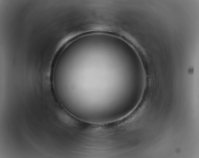 X0000103411222200809121258