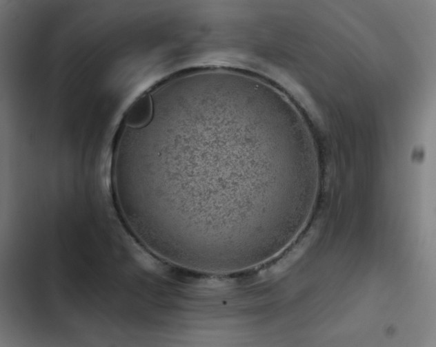 X0000103411224200809121258