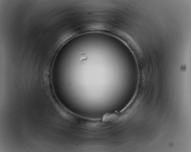 X0000103411225200809121258
