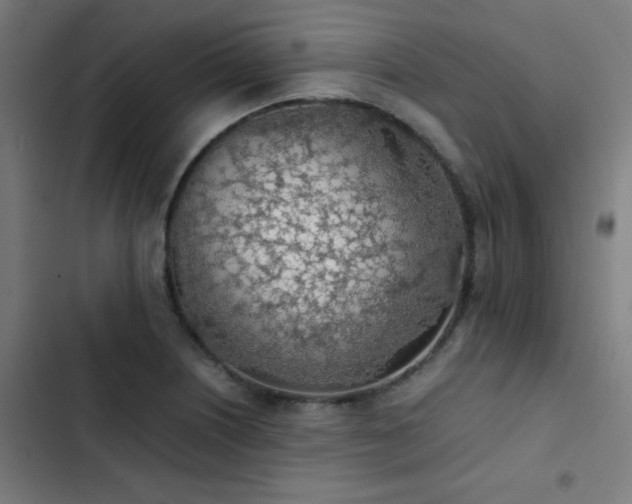 X0000103411226200809121258
