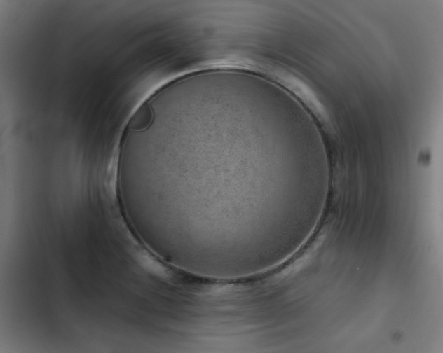 X0000103411228200809121258