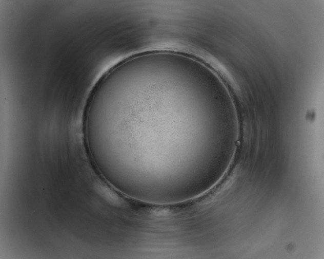 X0000103411230200809121258