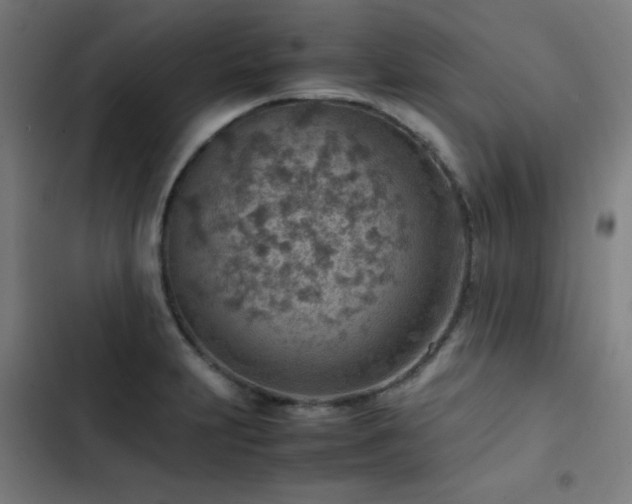 X0000103411231200809121258