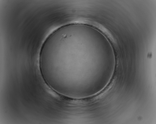 X0000103411232200809121258