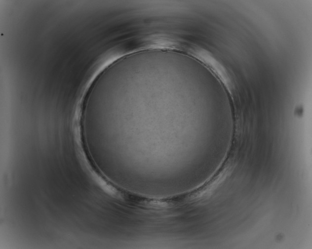 X0000103411235200809121258