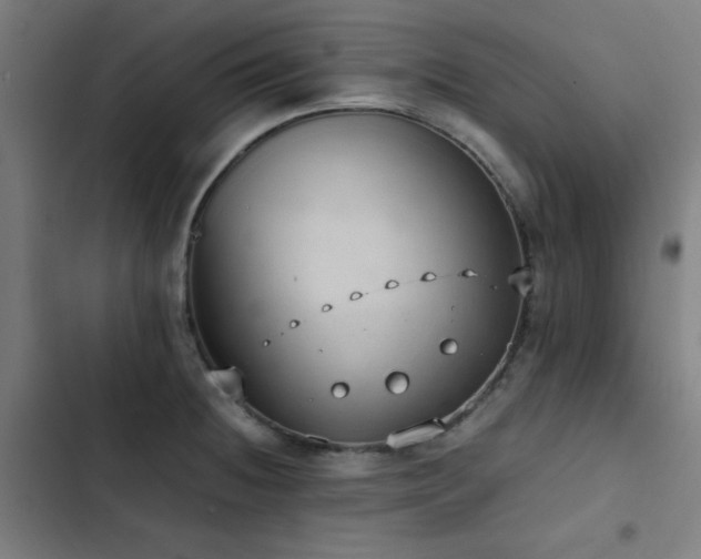 X0000103411236200809121258