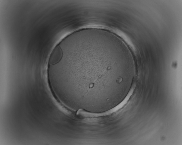X0000103411237200809121258