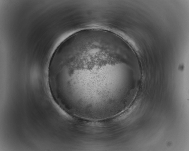 X0000103411239200809121258