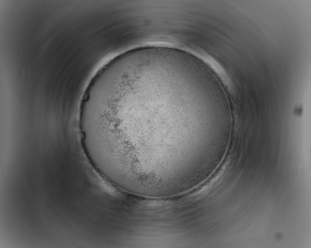 X0000103411240200809121258