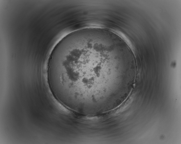 X0000103411243200809121258