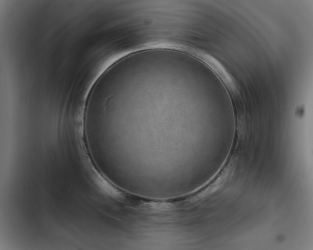 X0000103411244200809121258