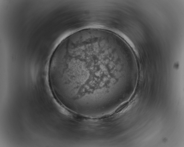 X0000103411245200809121258