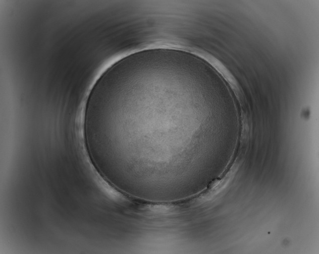 X0000103411246200809121258