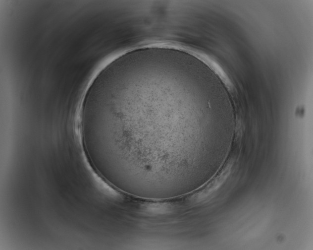X0000103411247200809121258