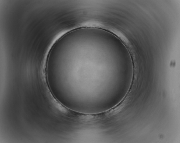 X0000103411248200809121258