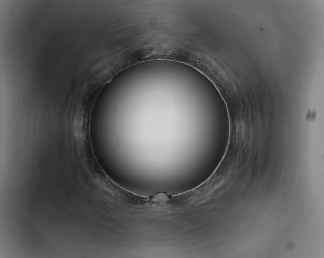X0000103411250200809121257